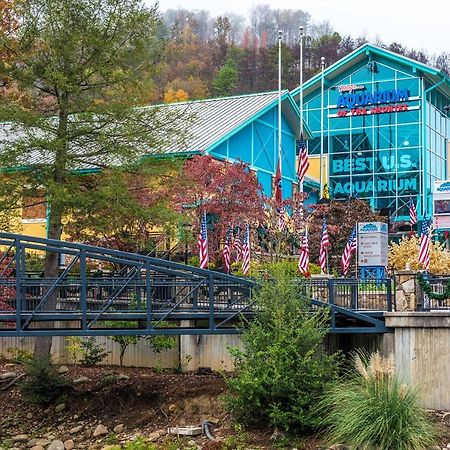 Bear View Chalet, 3 Bedroom, Pool, Pets, Arcades, Wifi, Hot Tub, Sleeps 12 Gatlinburg Exteriör bild