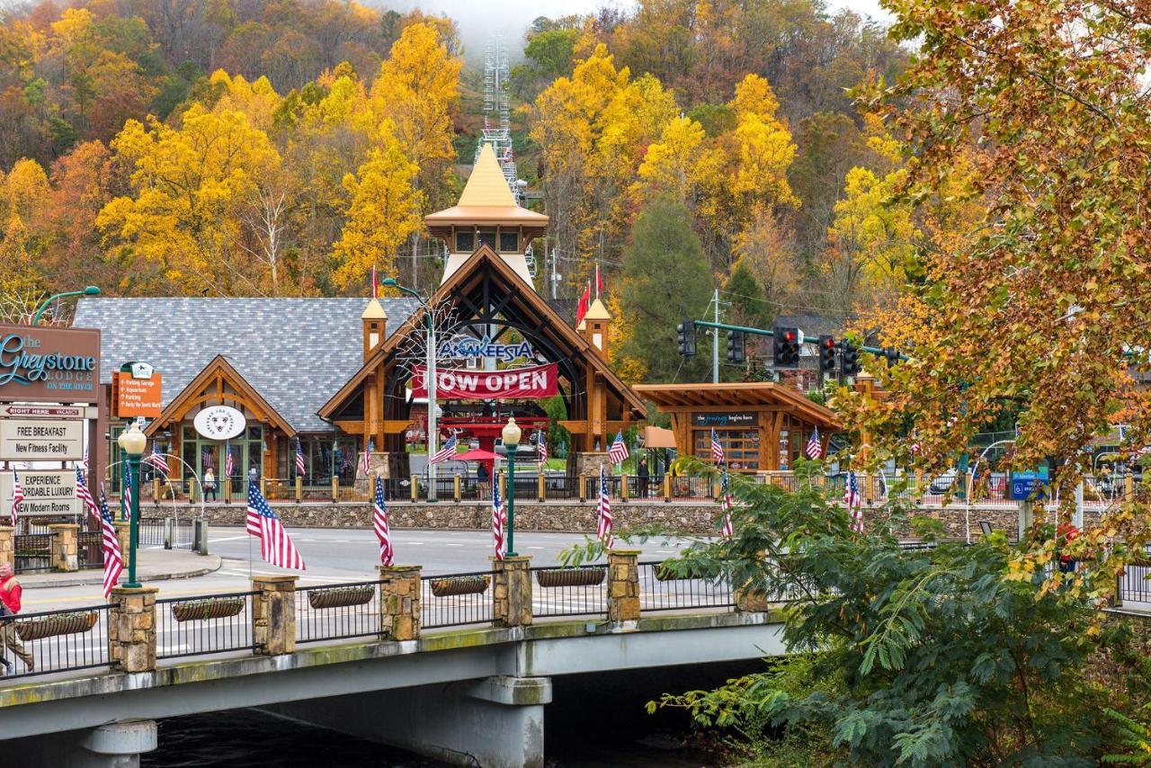 Bear View Chalet, 3 Bedroom, Pool, Pets, Arcades, Wifi, Hot Tub, Sleeps 12 Gatlinburg Exteriör bild