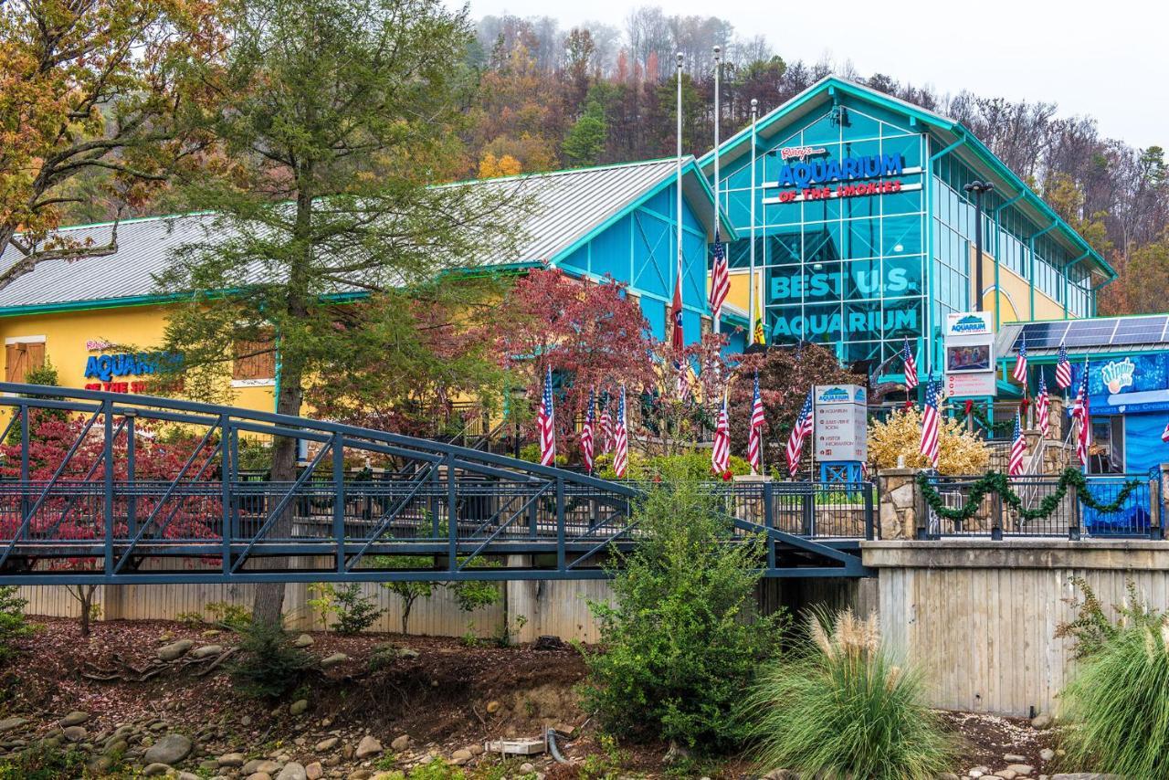 Bear View Chalet, 3 Bedroom, Pool, Pets, Arcades, Wifi, Hot Tub, Sleeps 12 Gatlinburg Exteriör bild