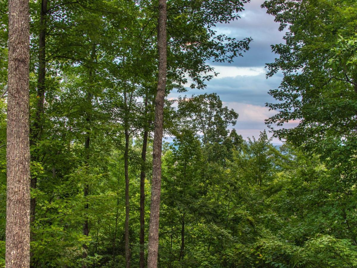 Bear View Chalet, 3 Bedroom, Pool, Pets, Arcades, Wifi, Hot Tub, Sleeps 12 Gatlinburg Exteriör bild